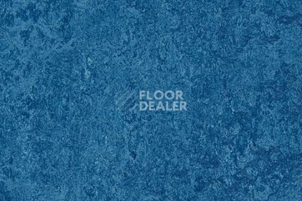 Линолеум Marmoleum Decibel on Order 303035 blue фото 1 | FLOORDEALER